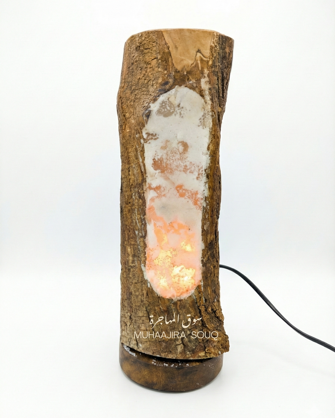 Siwa Oasis Olive Tree + Salt Lamp