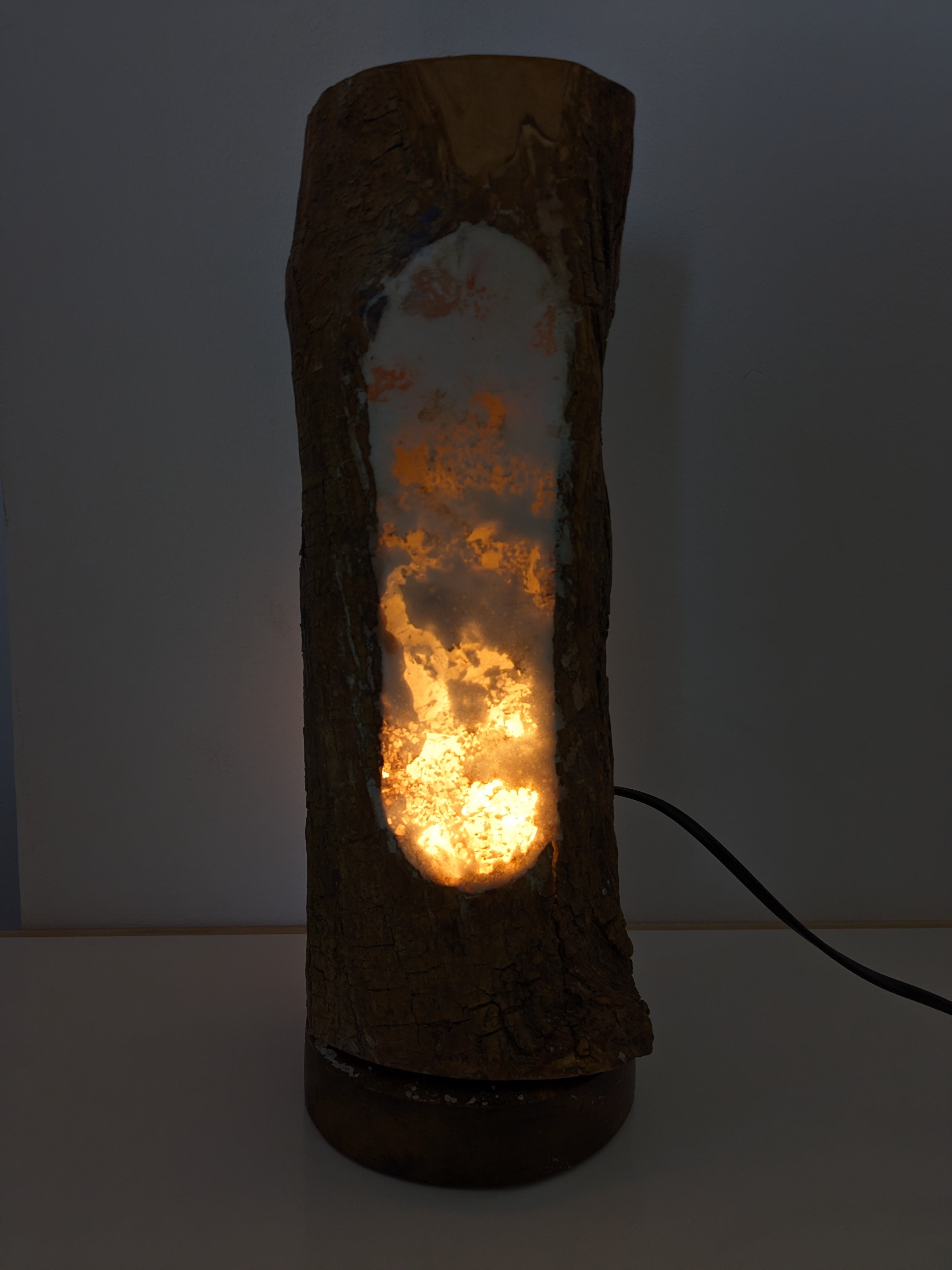 Siwa Oasis Olive Tree + Salt Lamp